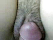 A Hard Cock In Her Fat Pussy