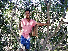 Agriculture Forest Mango Tree Gay Romantic Video In Hindi Language