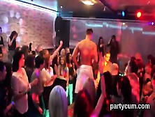 Nasty Cuties Get Absolutely Foolish And Naked At Hardcore Party