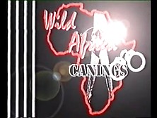Wild Africa Canings: Female Prison Anguish
