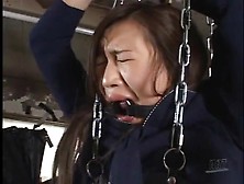 Chained Up Japanese Schoolgirl Toy Fucked