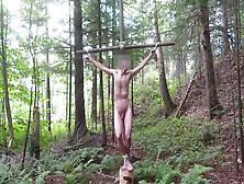 Crucified By My Fans In The Forest