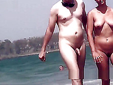 Nudist Milfs Beach Life Spy