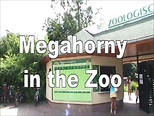 Chica Orinando El El Zoológico