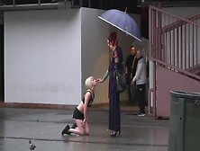 Petite Blonde Disgraced On The Rain