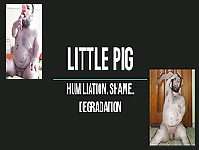 Humiliation Of A Pig,  Punishment And Pain.