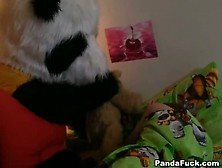 Jolie Jeunette Réveillée Par Son Panda