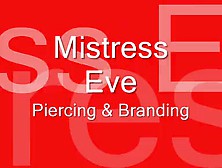 Piercing Branding - Full Version