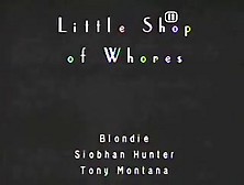 Sh Retro Pornstars Siobhan Hunter,  Blondi And Tony Motana