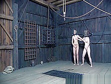 Inked Bdsm Slaves Groping Each Other