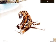 Wild Life / Fucking A Furrie Tiger Women