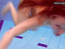 Red-Head Small Boobies Teeny Swimming