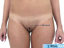 Female Anatomy,  Vulva And Pelvic Area - Part I