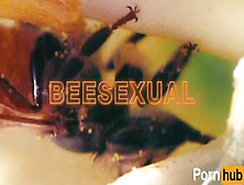 Watch Test Videospam 4 Free Porn Video On Fuxxx. Co