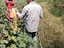 Indian Threesome Gay Field Movie A Unique Story Of A Farming Farmer And A Biker In Hindi With City Boy And Sugar Cane