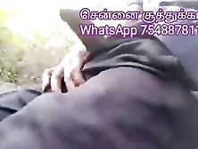 சென்னை சூத்துக்காட்டி