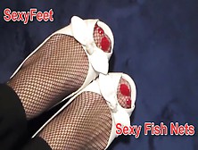 Sexy Fish Nets