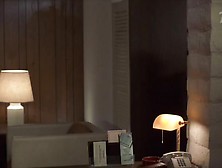 Michelle Pfeiffer - Into The Night. Mp4