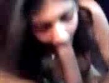 Desi College Babe First Have Long Oral Sex And Then Fucked Heavily While Moaning Loud. 3Gp