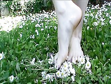 Tiny Dirty Feet Crush Flowers And Grass