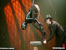 Bound Suspended Slave Ass Hooked