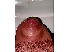 Tiny Cock Pissing