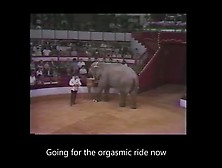 Sexually Satisfied By An Elephant - Orgasmic Ride