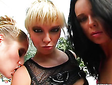 Three Hot Chicks Gets Fucked Outdoors Then Swaps Cum