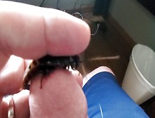 Cockroaches 1 And 2 Loving Him Crawling On My Cock