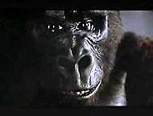 Jessica Lange In King Kong (Ii) (1976)