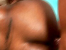 Sexy Tattooed Black Sparkes In Blowjob Video
