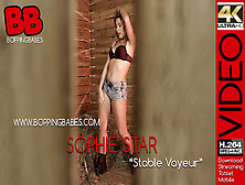 Sophie Star - Stable Voyeur - Boppingbabes