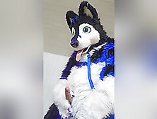 Johnny Huskey - Paw Off And Cum :3