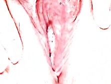 Big Tit Cougar Inside Tights And Masturbate Vagina