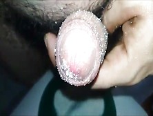 Watch Sugary Rod The Alluring Penis Free Porn Video On Fuxxx. Co