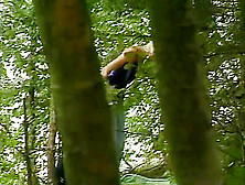 Spying On A Girl In The Woods - Dbm Video