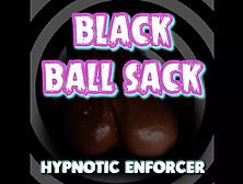 Black Ball Sack Magnetic