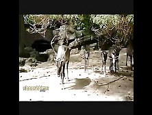 Angry Reindeer Slams Keeper's Head Into A Rock