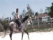 Chick From Thailand Riding A Horse