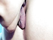 Spermhungry Cougar Eat And Suck My Nuts Head Anilingus