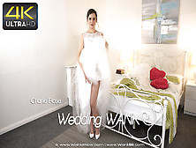Charlie Rose - Wedding Wank - Sexy Videos - Wankitnow