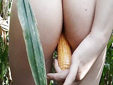 I'm Playing In Corn Field