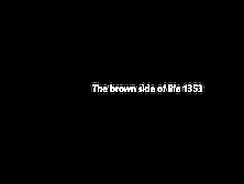 Thebrownsideoflife1353
