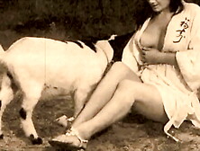 Vintage Taboo, Pussy & Pooch