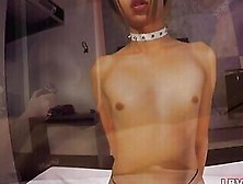Ladyboy Amy Blows A Dick And Gets Ass Fucked