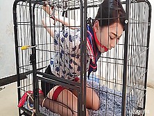 Girl In Cage Part 3