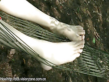 Chinese Doll's Soles In Hammock