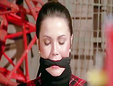 Lynda Carter And Diana Prince - Tied And Gagged