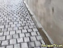Japanese Streetside Piss