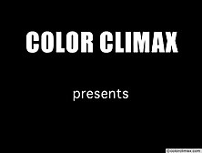 Color Climax - Party Pissing